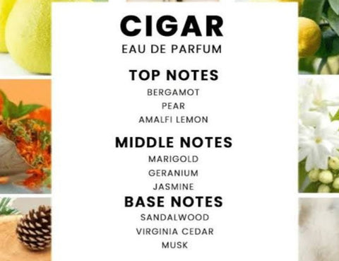 Cigar